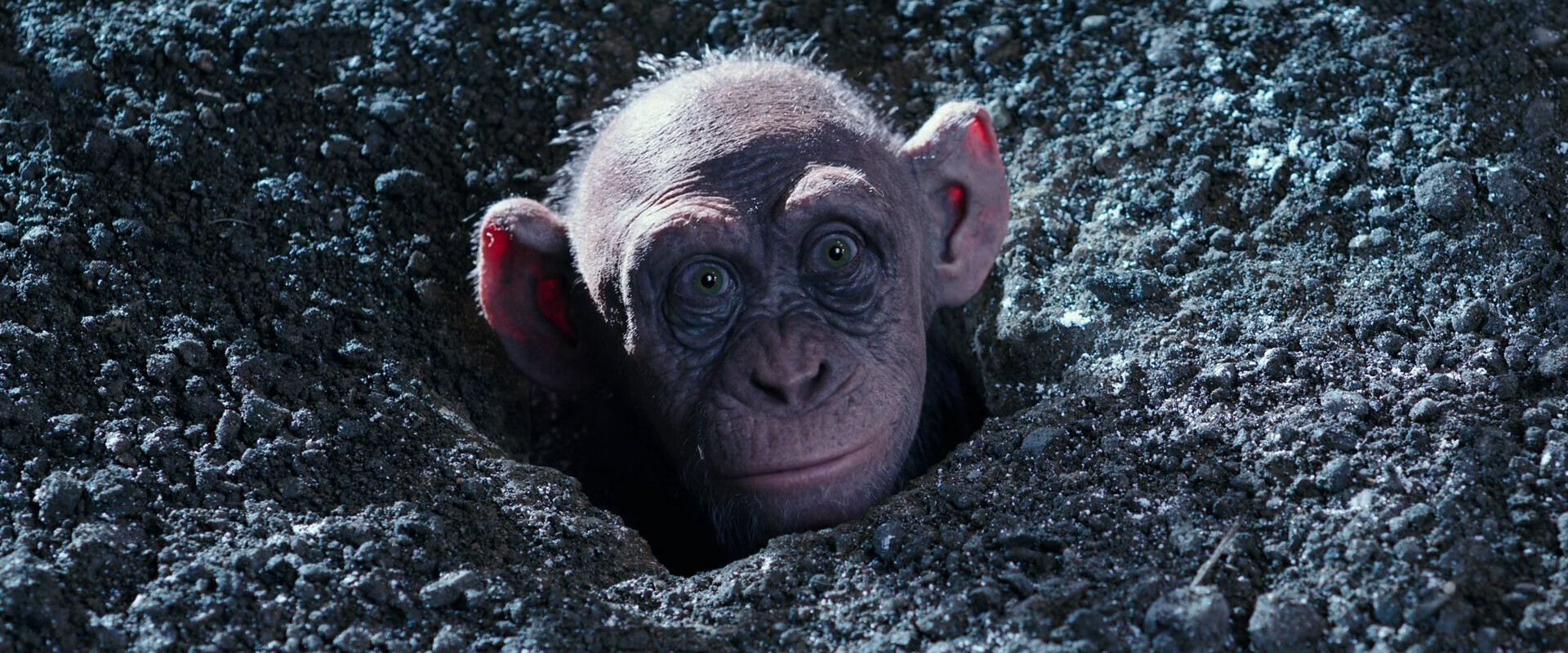 War for the Planet of the Apes — Weta Digital