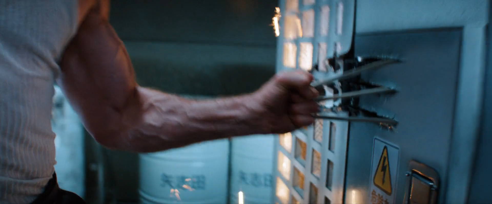 The Wolverine