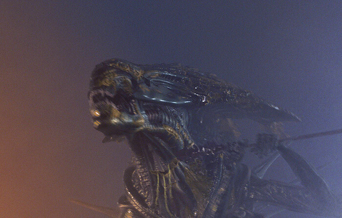Alien vs. Predator