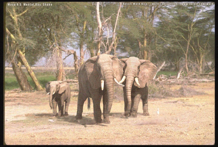 Elephant study II · Estimated c. 2003