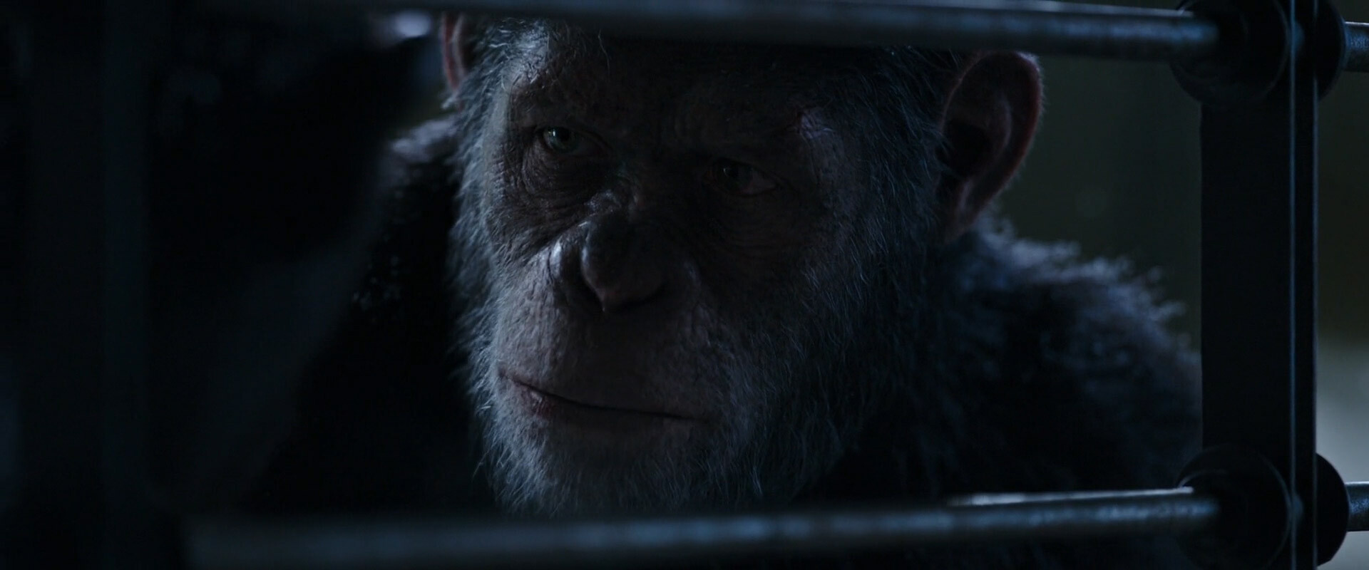 War for the Planet of the Apes
