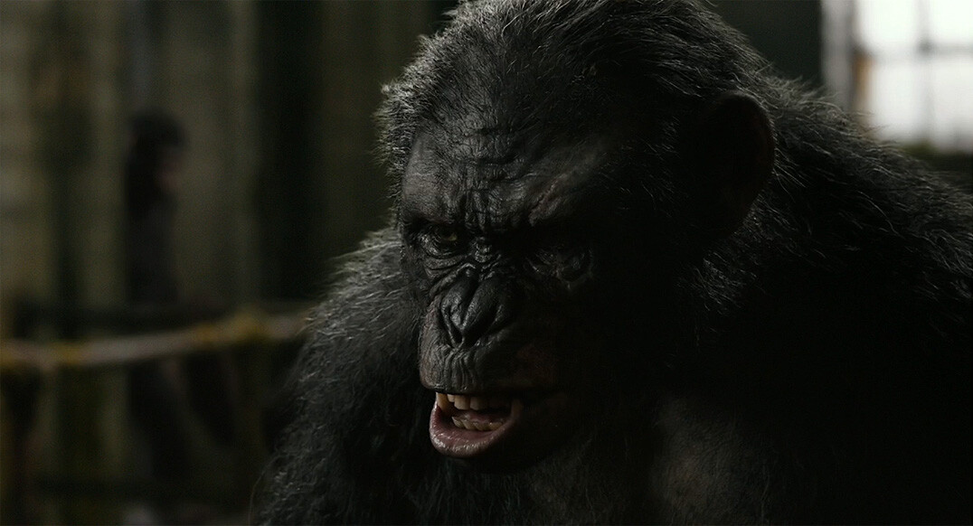 Dawn of the Planet of the Apes