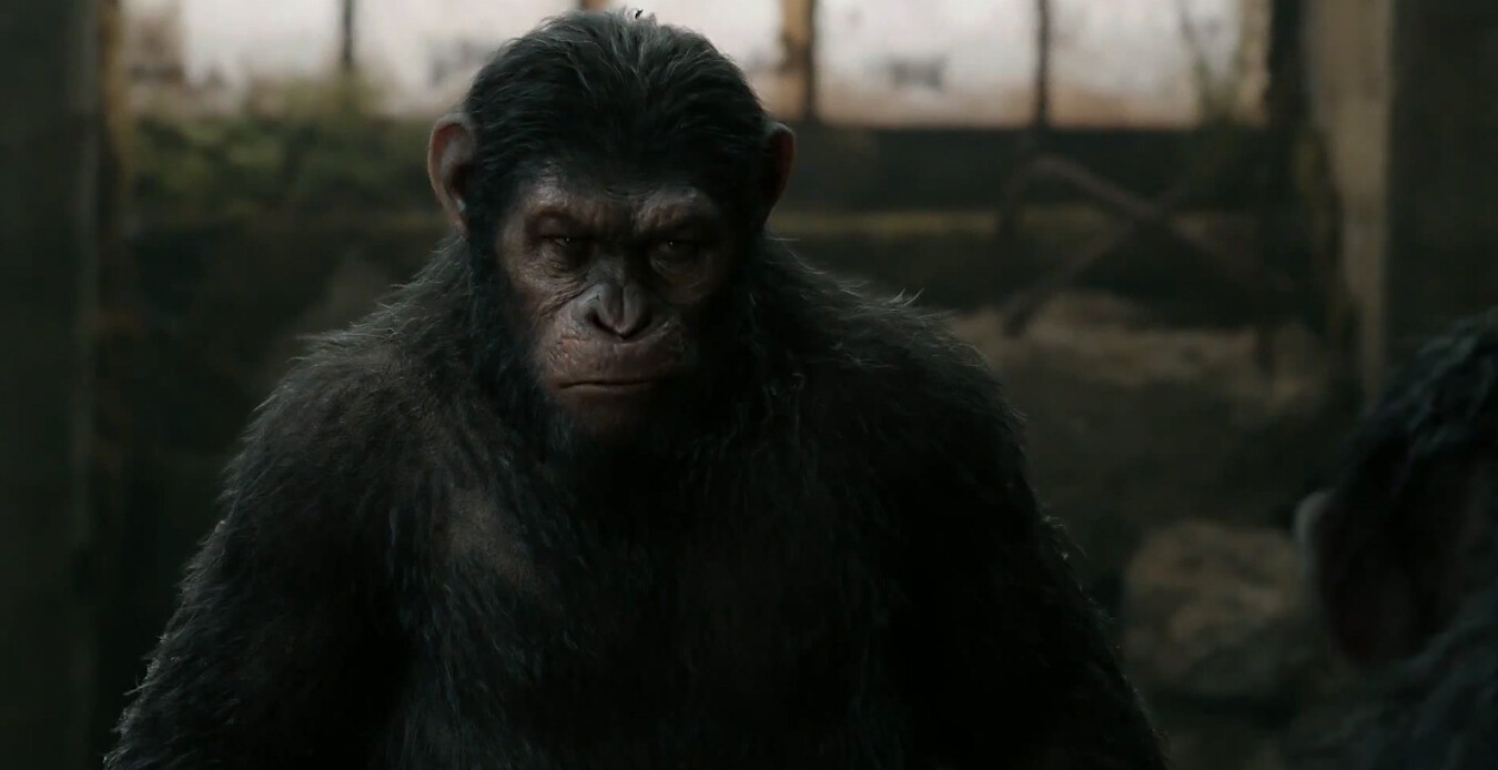 Dawn of the Planet of the Apes